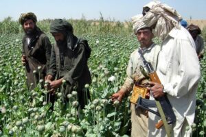 Αφγανιστάν: Οι Ταλιμπάν απαγορεύουν την παραγωγή οπίου και οι τιμές εκτοξεύονται