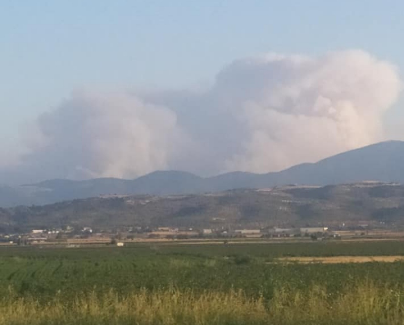 Φωτιά στα Βίλια: Σε νοσοκομεία της Αττικής μεταφέρθηκαν 14 τρόφιμοι οίκου ευγηρίας