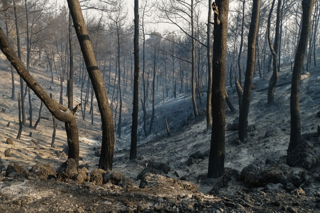 Ρόδος: Ξεκίνησε η καταγραφή των ζημιών μετά την πυρκαγιά