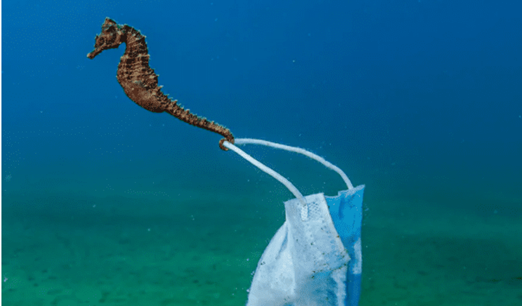 Ocean Photography Awards 2021: Το ελληνικό καρέ που πάει για την πρωτιά