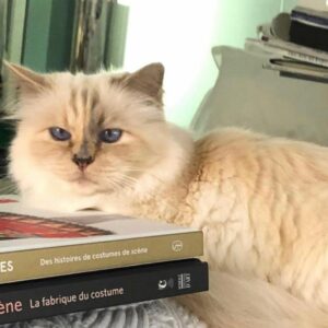Καρλ Λάγκερφελντ: Σε δημοπρασία τα αντικείμενα της γάτας-κληρονόμου του