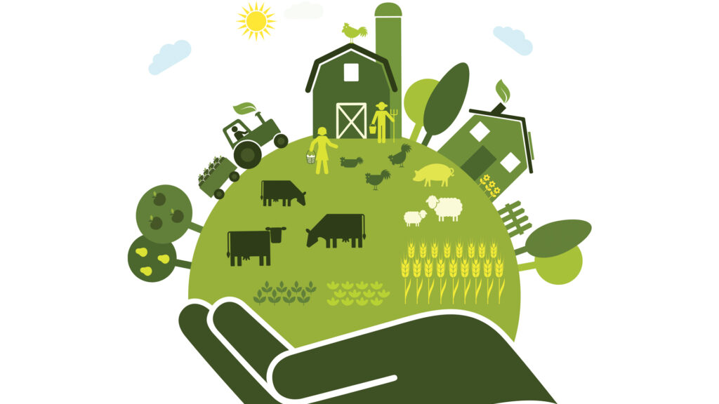 Η στρατηγική «Farm to Fork» της Ε.Ε. γνωστή «από το χωράφι στο ράφι»