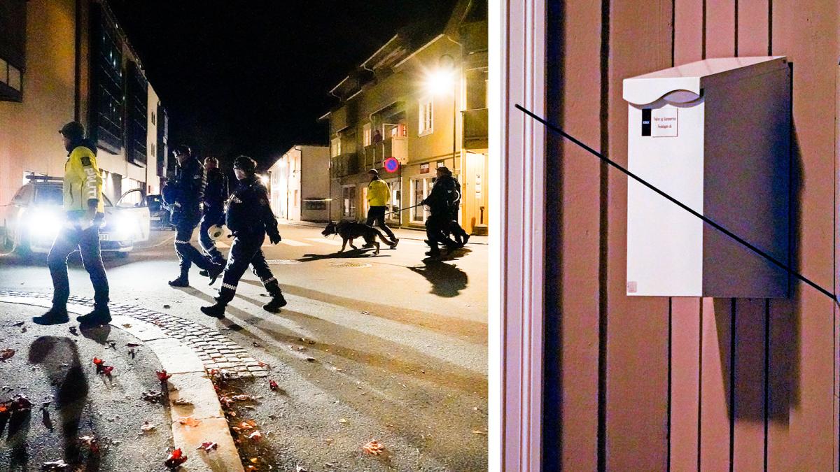 Επίθεση με τόξο στη Νορβηγία - Δανός ο δράστης: Πέντε άνθρωποι νεκροί - Συγκλονίζουν οι μαρτυρίες
