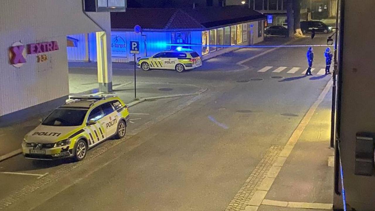 Νορβηγία: Τα πέντε θύματα δολοφονήθηκαν με αιχμηρό όπλο, όχι με τόξο