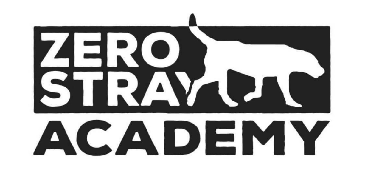 Zero Stray Academy: Δωρεάν εκπαίδευση των δήμων για τη διαχείριση των αδέσποτων