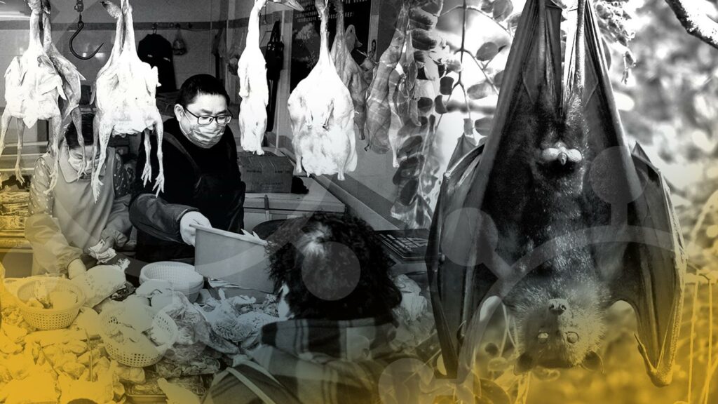 Δύο χρόνια κορωνοϊός: Νοέμβριο του 2019 εμφανίστηκε για πρώτη φορά