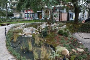Δήμος Αθηναίων: Το Παγκράτι αποκτά τον πρώτο Ιαπωνικό Κήπο στην Ελλάδα