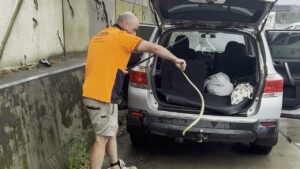 Αυστραλία: Επιτέθηκε φίδι «Τίγρης» την ώρα που οδηγούσε με 80 χιλιόμετρα σε αυτοκινητόδρομο