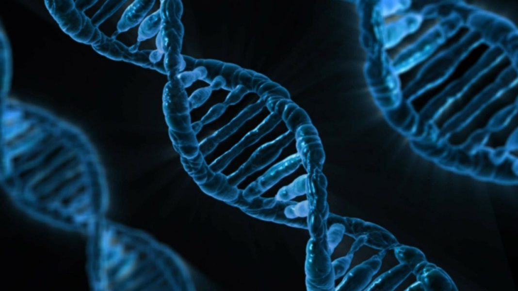 Νέα πρόοδο στη χρήση του DNA ως μέσο αποθήκευσης δεδομένων σημείωσαν επιστήμονες