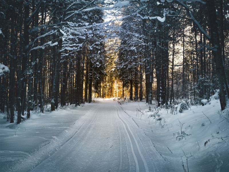 Χειμώνας: Η Google «υποδέχεται» το χειμερινό ηλιοστάσιο με ένα doodle