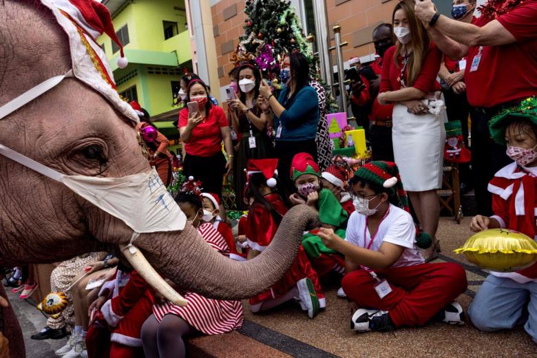 Ελέφαντες ντυμένοι Αγιοβασίληδες προσφέρουν μάσκες και απολυμαντικό
