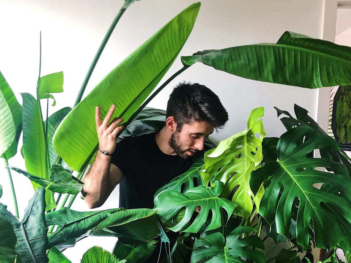 Νικ Κουτσούμπας: Πόσα βγάζει ο «γητευτής των φυτών» του Instagram