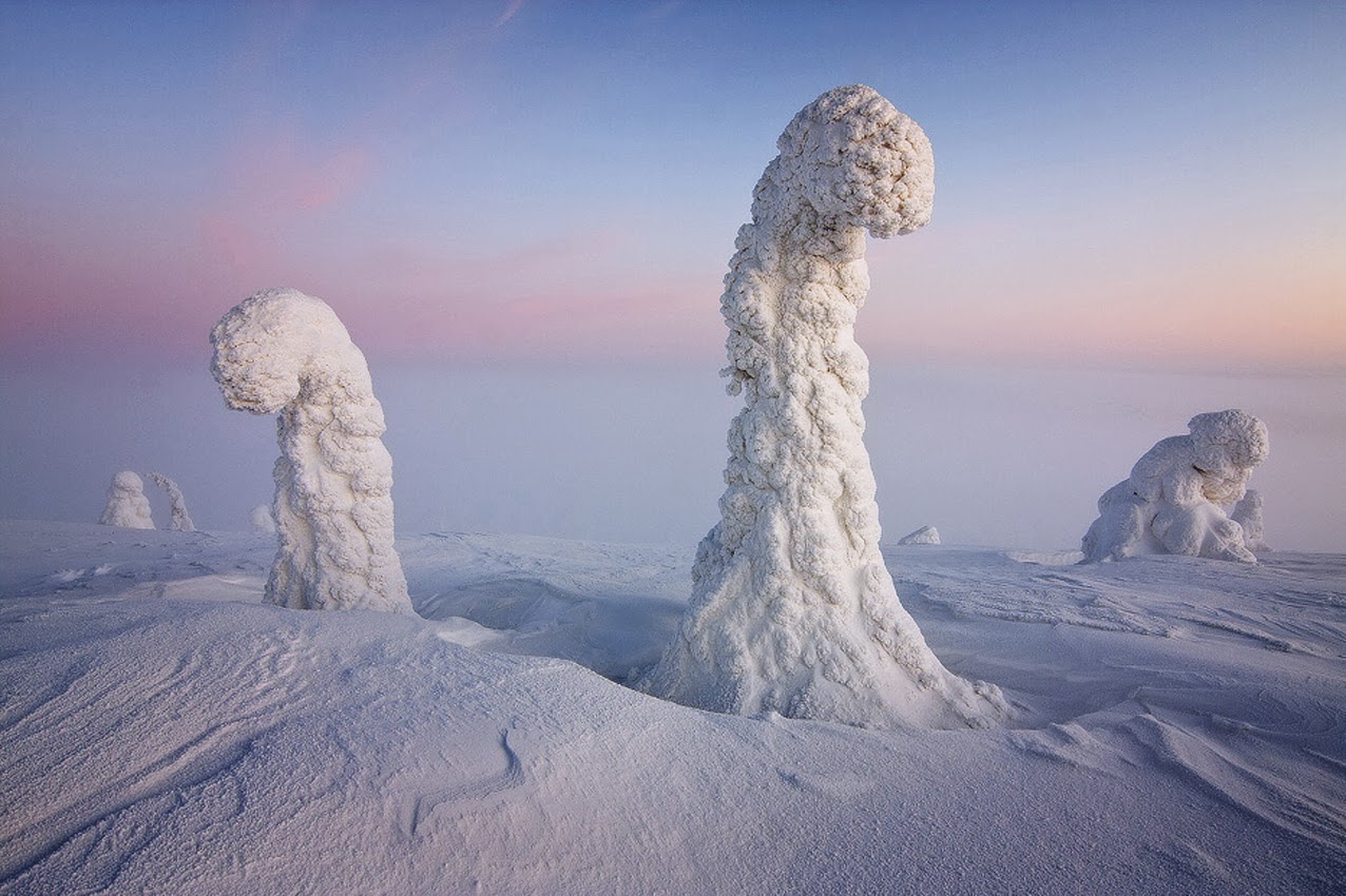 Οι Φύλακες της Αρκτικής: Τα απόκοσμα παγωμένα δέντρα στη Λαπωνία