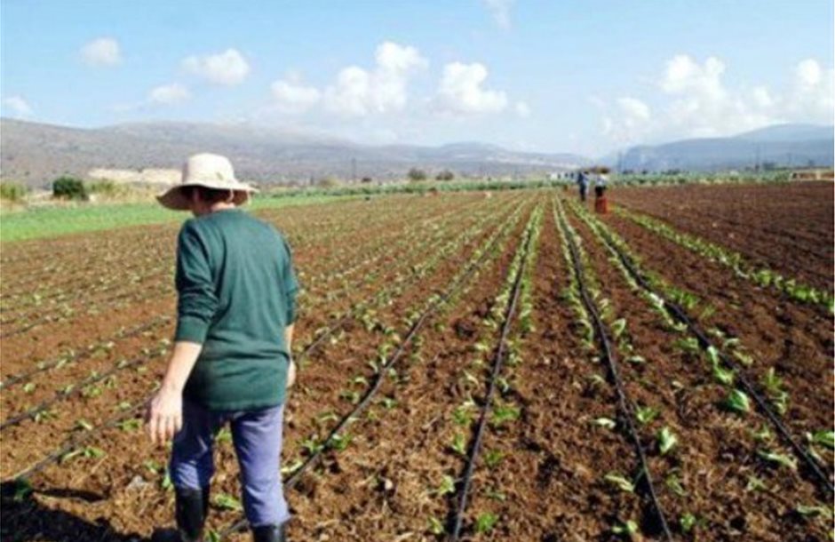 Έρχονται αποζημιώσεις για αγροτικές καλλιέργειες που κάηκαν το καλοκαίρι – Ποιοι είναι οι δικαιούχοι
