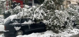 Δήμος Αθηναίων: Αποζημιώσεις σε ιδιοκτήτες ΙΧ που υπέστησαν ζημιές από πτώσεις δένδρων