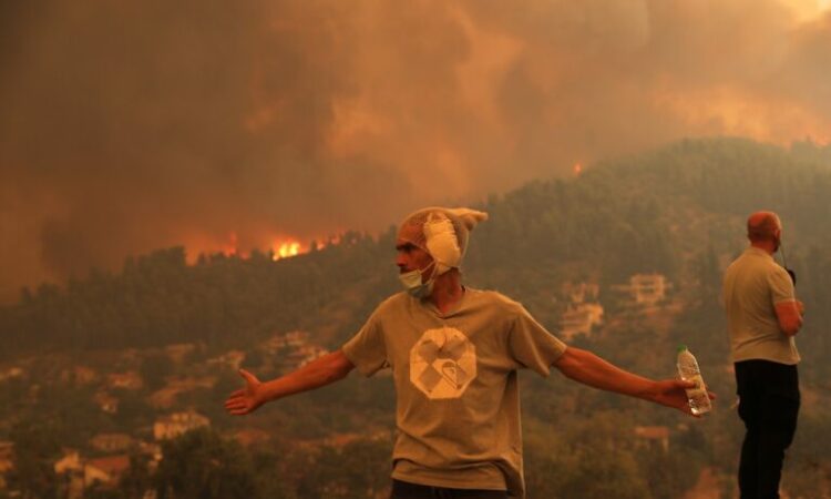 Κάηκαν τόσα στρέμματα στην Ελλάδα όσα κατά την οκταετία 2013 – 2020