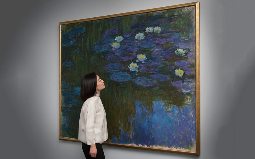 Nympheas en fleur