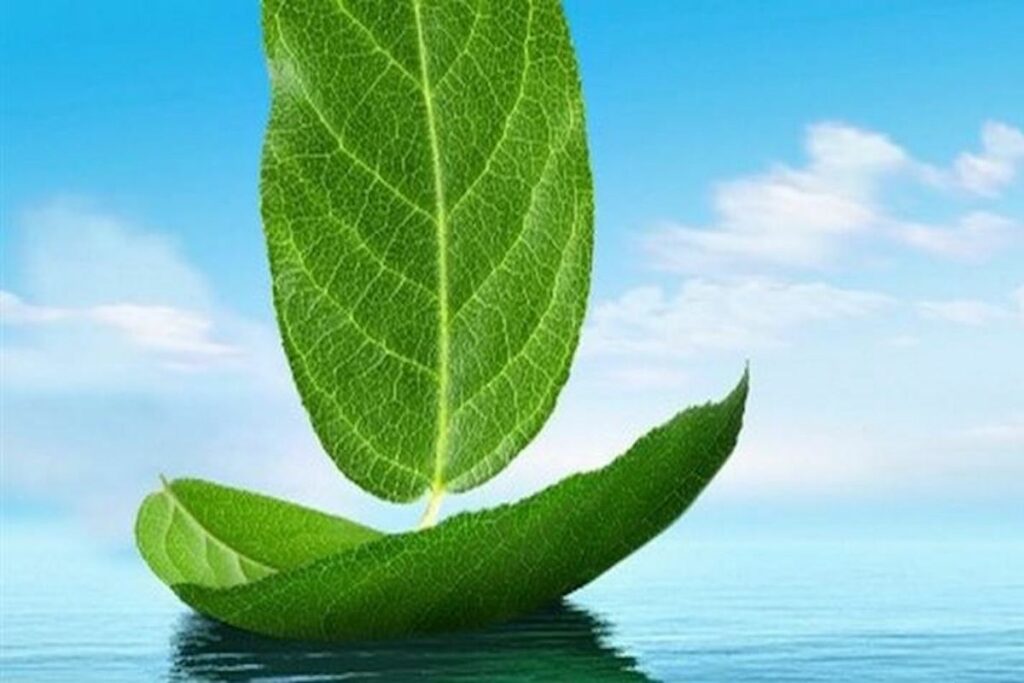 naftilia
