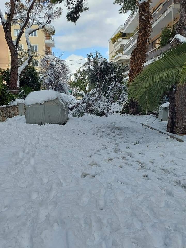Χάος στο Δήμο Φιλοθέης-Ψυχικού-Καταγγελίες για τον δήμαρχο