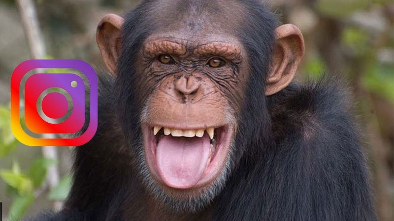 Facebook-Instagram: O παράδεισος της «μαϊμούς»