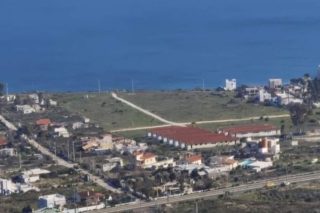 Δήμος Μαραθώνα: Δημιουργεί καταπράσινο πάρκο αναψυχής στο Μάτι