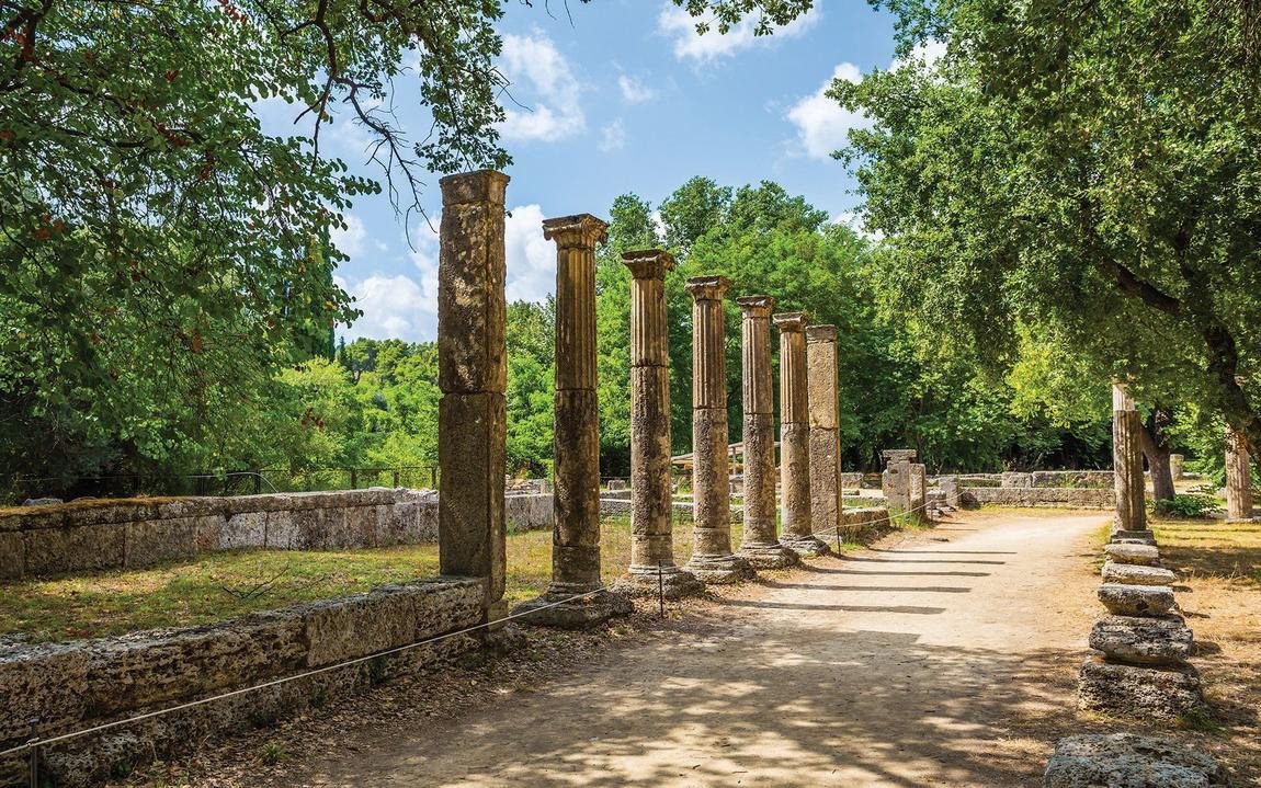 Αναγεννώνται οι Ελαιώνες της Αρχαίας Ολυμπίας - Μεγάλη δωρεά 150.000 δενδρυλλίων