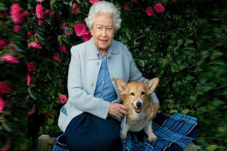 Η βασίλισσα Ελισάβετ φέρεται να κυκλοφόρησε ένα άρωμα για σκυλάκια