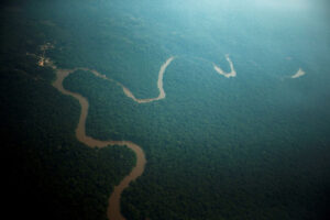 NFT: O απρόσμενος τρόπος για να σωθεί ο Αμαζόνιος