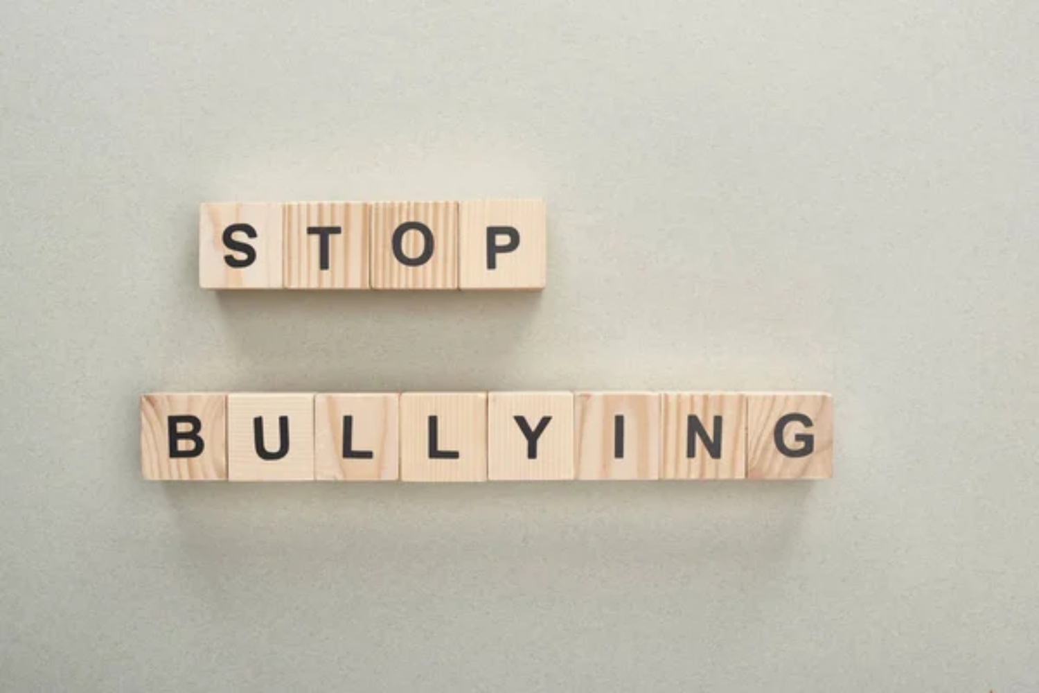 Αναμορφωτικό μέτρο σε μαθήτρια για bullying σε συμμαθήτρια με αυτισμό