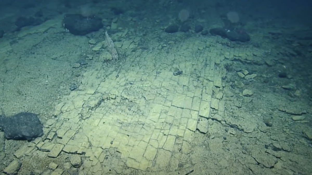 Ανακαλύφθηκε «δρόμος από κίτρινα τούβλα» σε βάθος 3.000 μέτρων στον Ειρηνικό ωκεανό