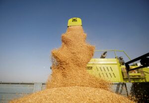 Ουκρανία: Η Ρωσία κατέσχεσε 400.000 τόνους σιτηρών - Για κίνδυνο λιμού προειδοποιεί το Κίεβο