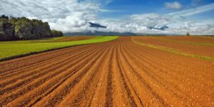 Διευκρινήσεις από ΑΑΔΕ για τον ΑΤΑΚ στα μισθωμένα αγροτεμάχια