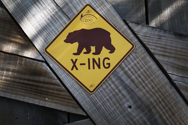 220520114001_bear market1