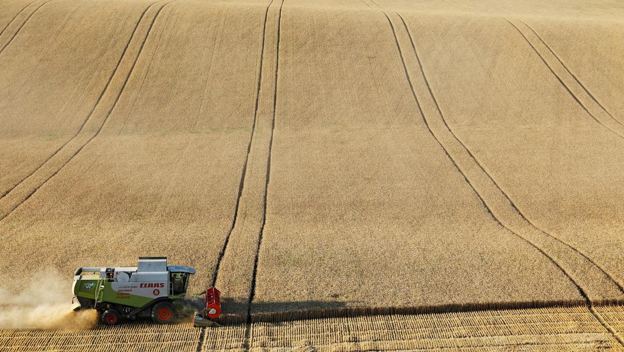 Ουκρανία: Η παραγωγή σιταριού 2022-23 αναμένεται να μειωθεί κατά 40%