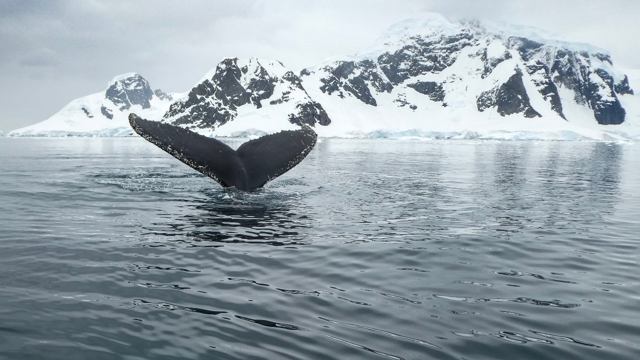 Ανταρκτική: Χαρτογραφήθηκε ο πυθμένας του Νότιου Ωκεανού - Είναι ο 5ος ωκεανός της Γης