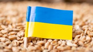Ουκρανία: Ρεκόρ συγκομιδής σιτηρών - Θα φθάσει τους 59,7 εκατ. τόνους