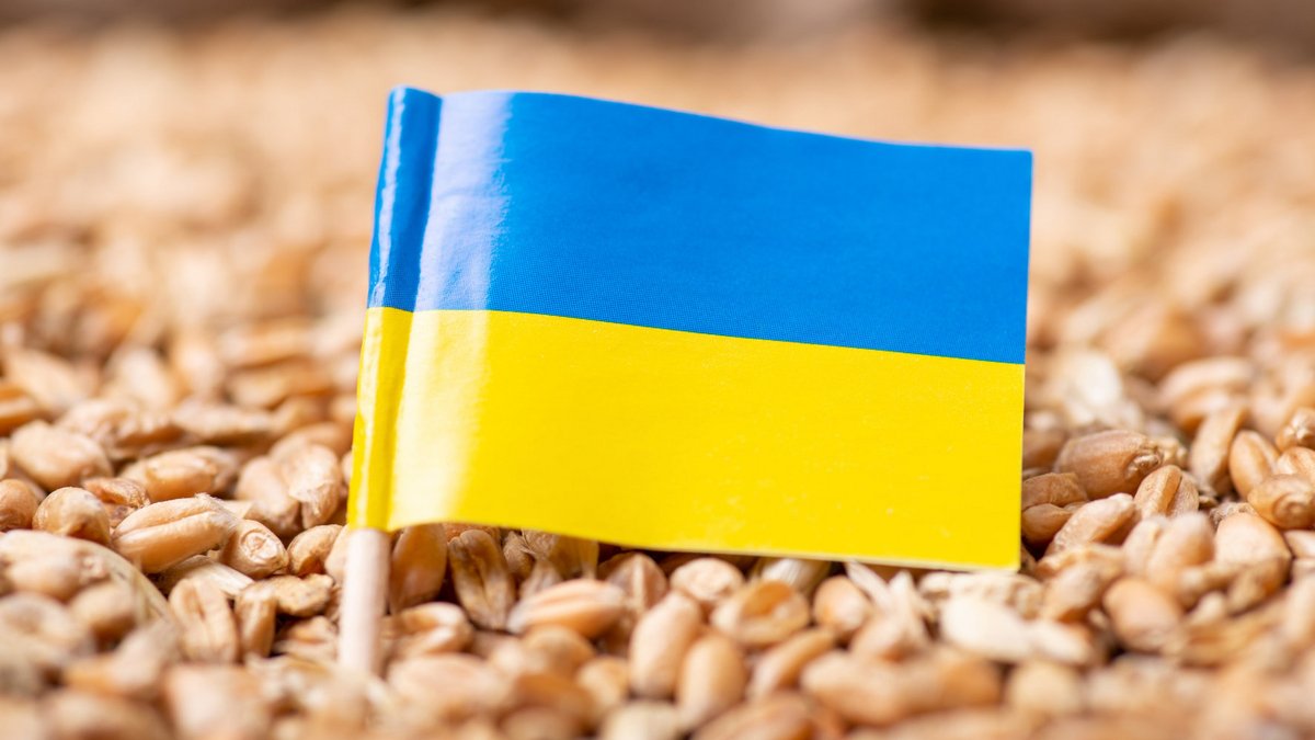 Ουκρανία: Ρεκόρ συγκομιδής σιτηρών - Θα φθάσει τους 59,7 εκατ. τόνους