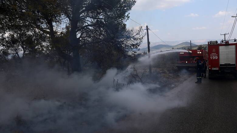 Φωτιά σε δασική έκταση στη Γλυφάδα και σε οικόπεδο στη Βούλα