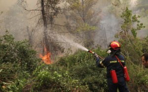 Εύβοια: Υπό έλεγχο η φωτιά - Παραμένουν οι επίγειες δυνάμεις