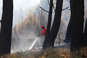 Άγιος Στέφανος, φωτιά τώρα, φωτογραφία αρχείου.