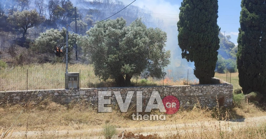 Εύβοια: Μεγάλη φωτιά στο Αλιβέρι - Καίει δασική έκταση κοντά σε κατοικημένη περιοχή (ΦΩΤΟ)