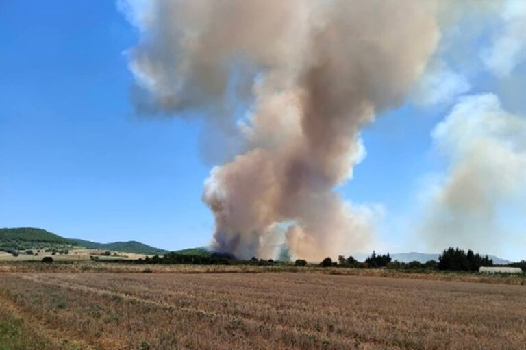 220714171059_fire-evros1472022-768×511