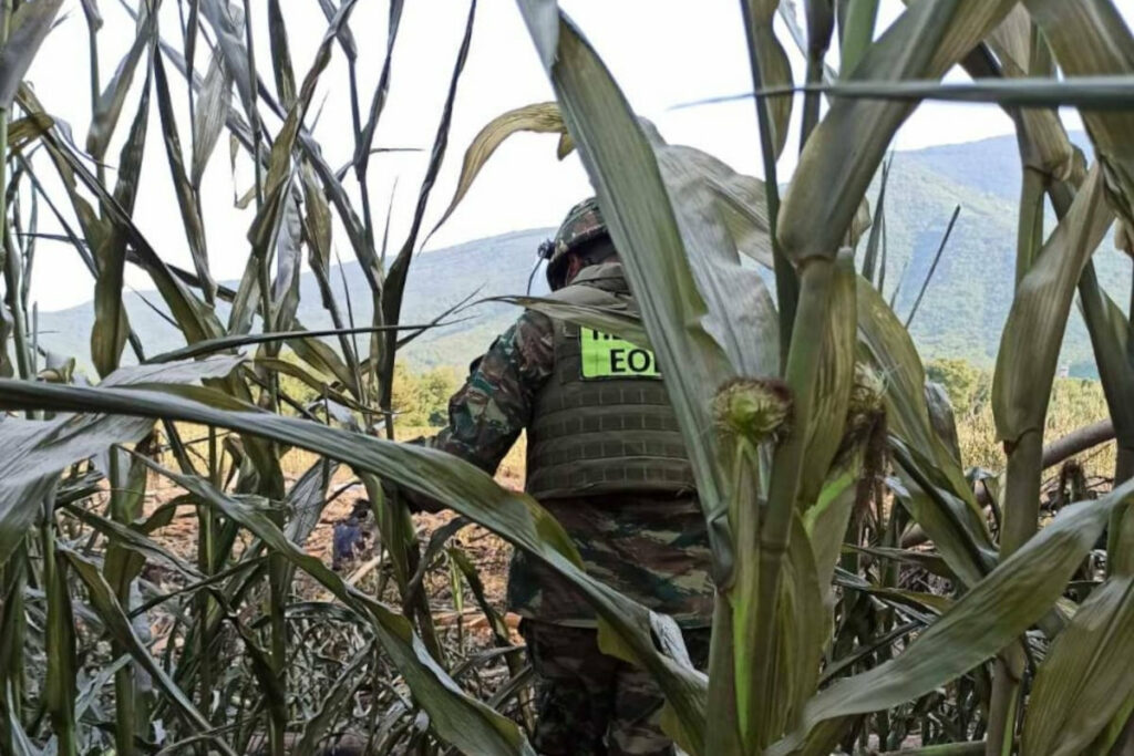 ΣΥΜΜΕΤΟΧΗ ΤΟΥ ΕΛΛΗΝΙΚΟΥ ΣΤΡΑΤΟΥ ΣΤΙΣ ΕΡΕΥΝΕΣ ΜΕΤΑ ΤΗΝ ΠΤΩΣΗ ΤΟΥ ΑΕΡΟΣΚΑΦΟΥΣ ΑΝΤΟΝΟΦ ΣΤΗΝ ΚΑΒΑΛΑ(ΓΕΕΘΑ/EUROKINISSI)