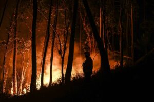 Πορτογαλία: Περισσότεροι από 1.000 θάνατοι συνδέονται με το πρόσφατο κύμα καύσωνα στη χώρα