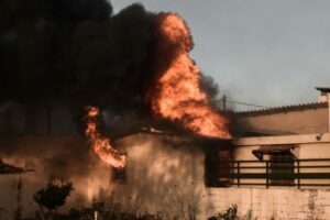 Φωτιά στην Πεντέλη: Tα μέτρα στήριξης των πληγέντων