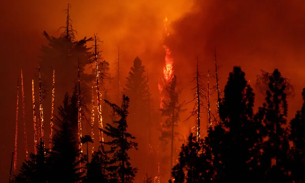 Oak Fire: Εξαπλώνεται γρήγορα η φωτιά στην Καλιφόρνια - Συναγερμός για τη μεγαλύτερη ενεργή πυρκαγιά στις ΗΠΑ