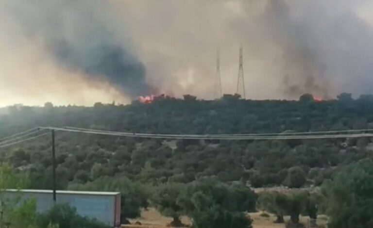 Φωτιά στη Μάνδρα Αττικής: Μεγάλη κινητοποίηση της Πυροσβεστικής- Μυνημα από το 112