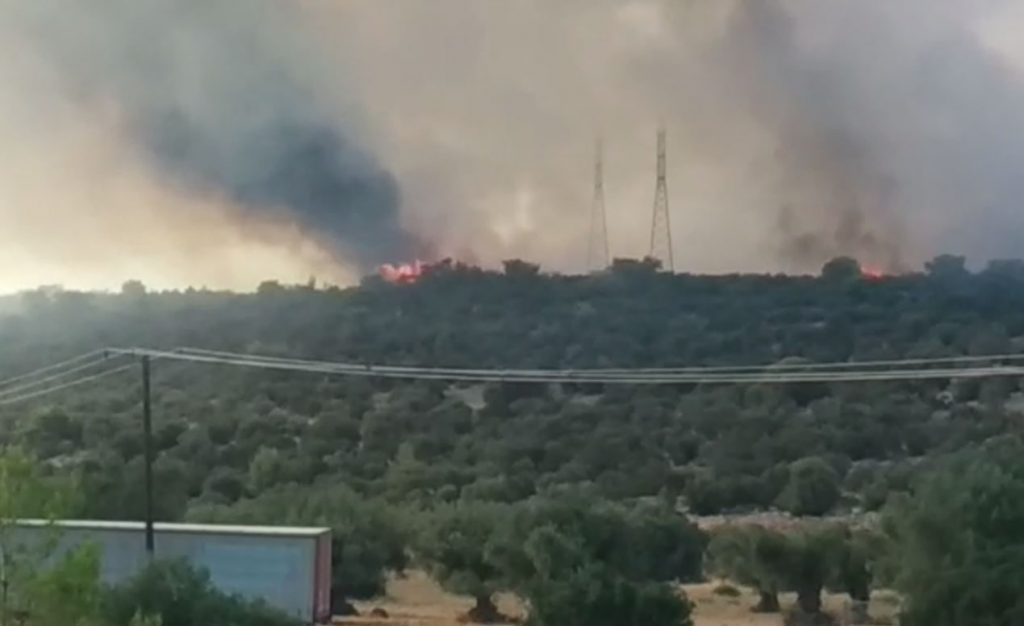 Φωτιά στη Μάνδρα Αττικής: Μεγάλη κινητοποίηση της Πυροσβεστικής- Μυνημα από το 112
