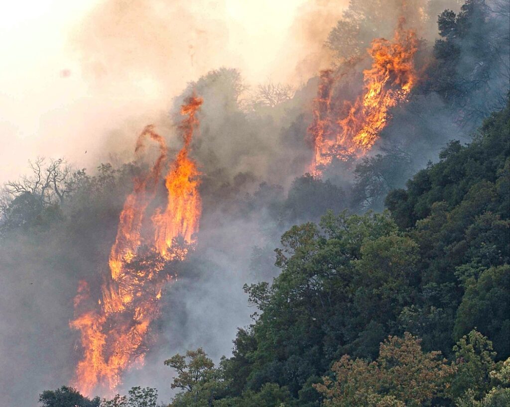 Φωτιά στη Φθιώτιδα, φωτογραφία αρχείου.