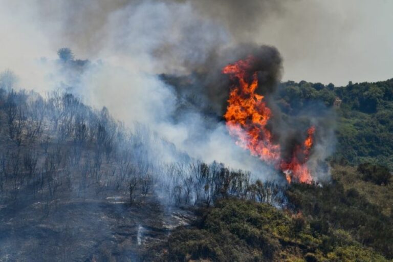 Φωτιά στη Δαδιά: Μαίνεται η πυρκαγιά - Εναέρια μέσα έχουν σηκωθεί αλλά δεν μπορούν να επιχειρήσουν λόγω καιρού